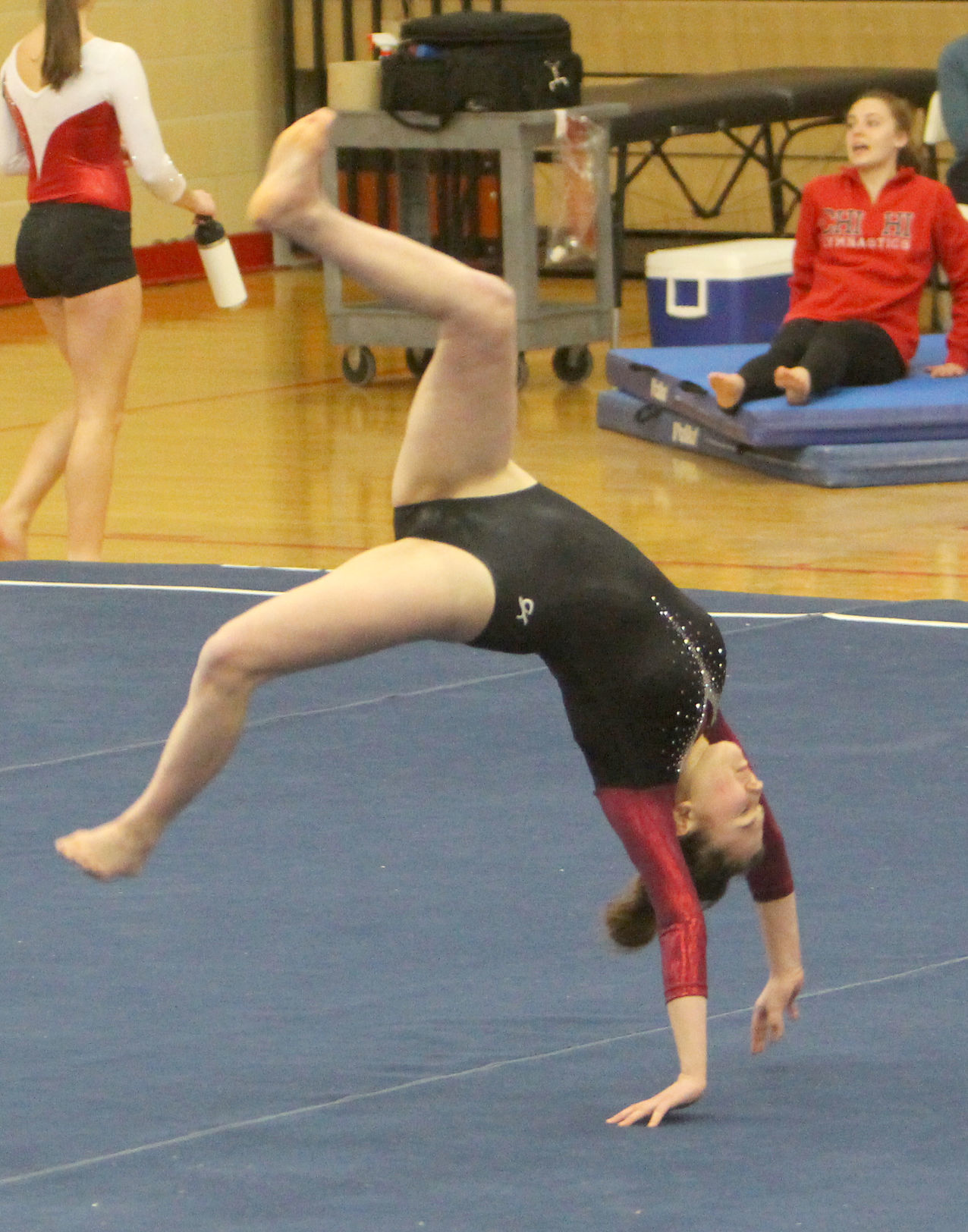 Chi-Hi Gymnastics Triangular 1-17-19